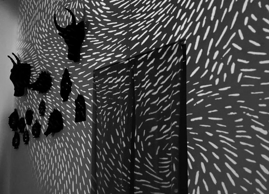 In Praise of shadows